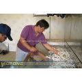 Desiccated Coconut Dryer Drying Machine Production Line